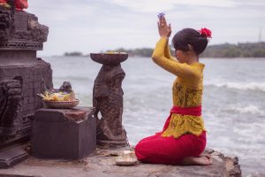 Panduan Lengkap Penggunaan Layanan Bea Cukai Pulau Taliabu Online